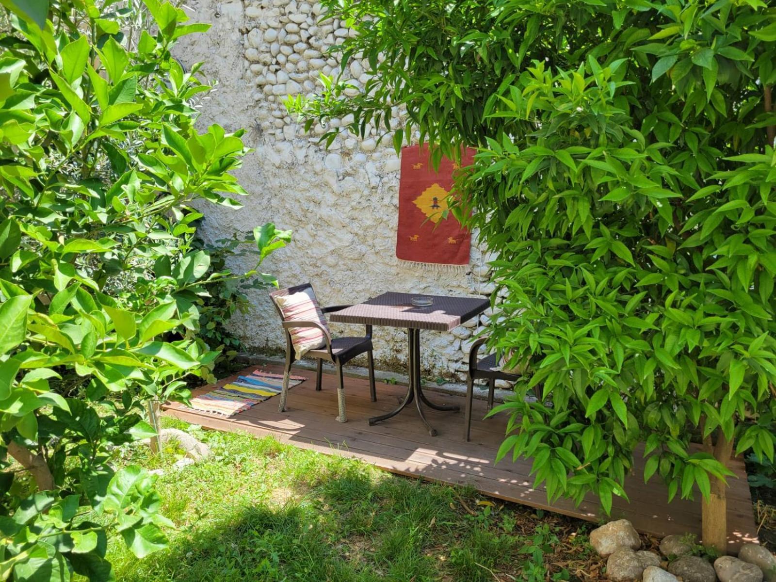 Vila Koltrina Shkodër Exterior foto