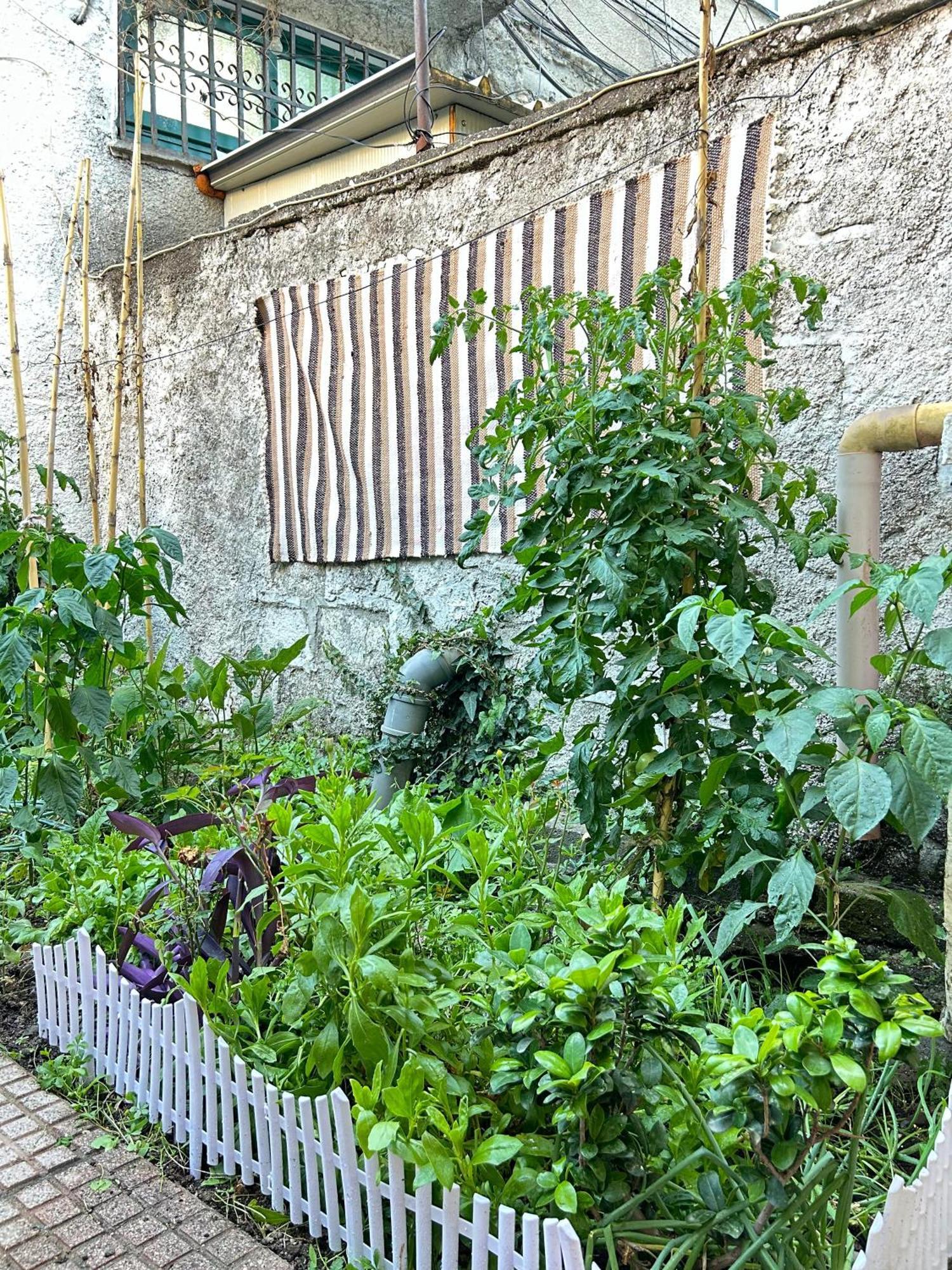 Vila Koltrina Shkodër Exterior foto